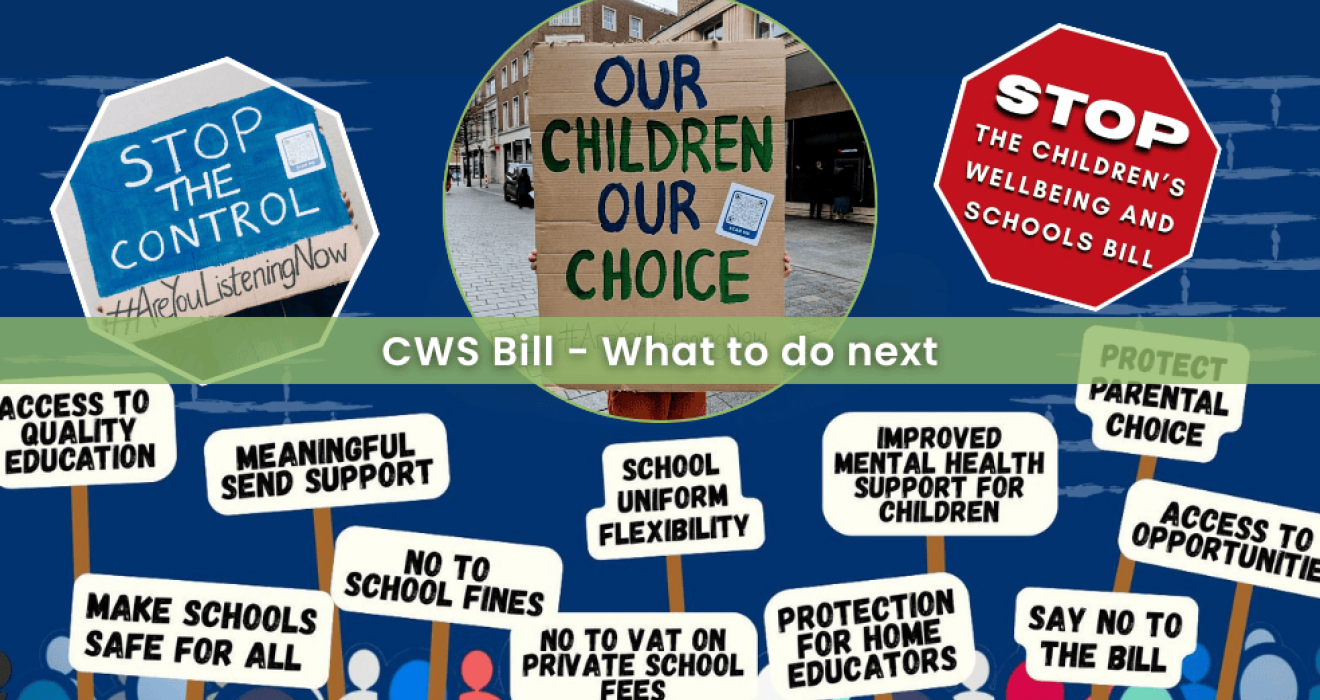 The Children’s Wellbeing and Schools Bill - Summary and next steps