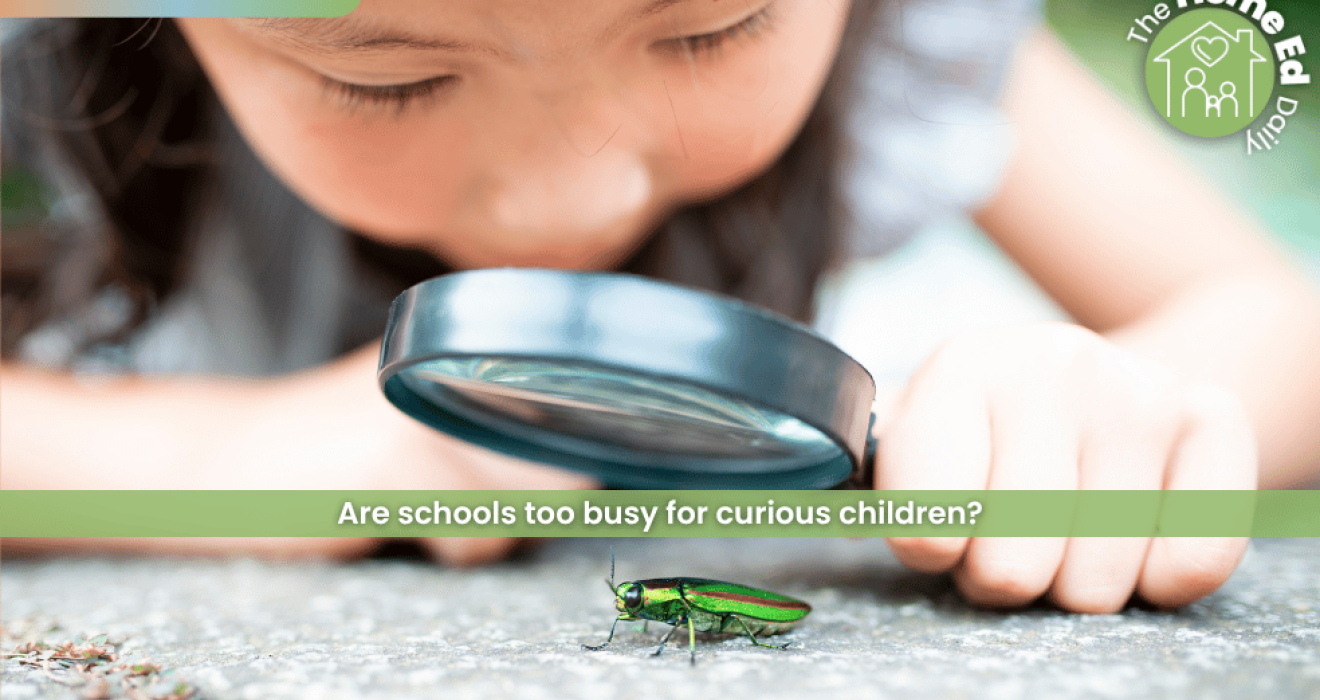 What happens when children stop asking questions? What happens when children stop asking questions?
