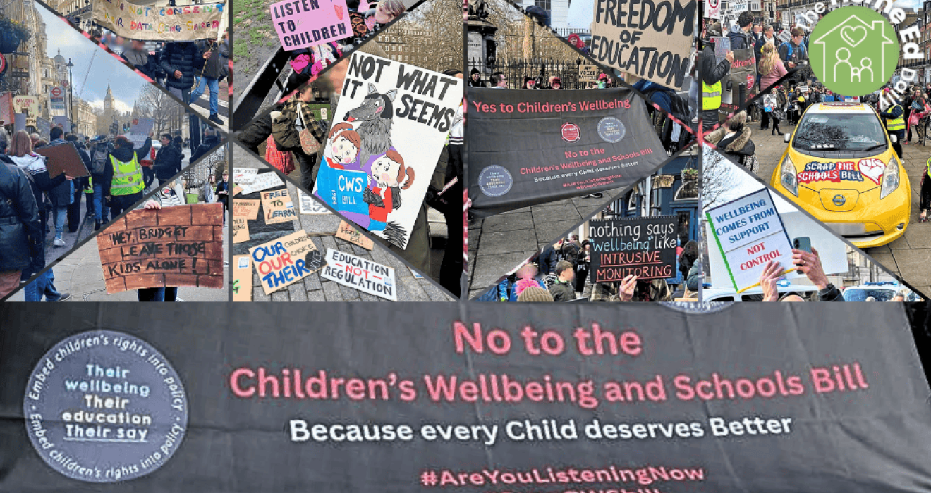 Children’s Wellbeing and Schools Bill Summary and Protest