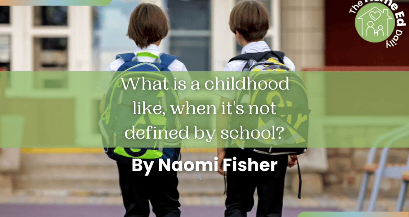 Not Back To School by Naomi Fisher