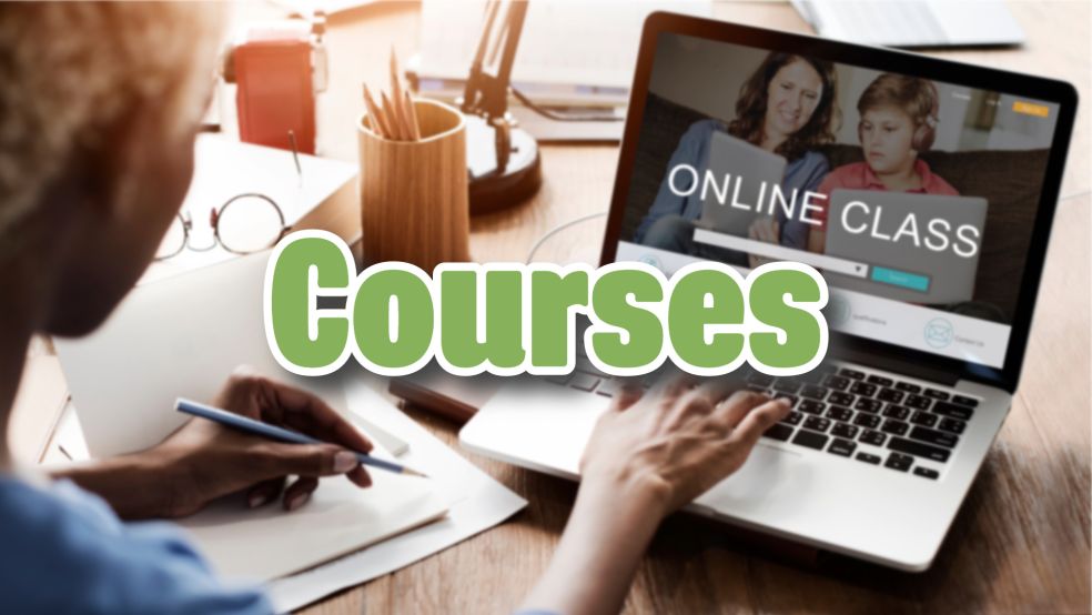 Online learning for home educated students