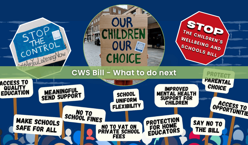 The Children’s Wellbeing and Schools Bill - Summary and next steps