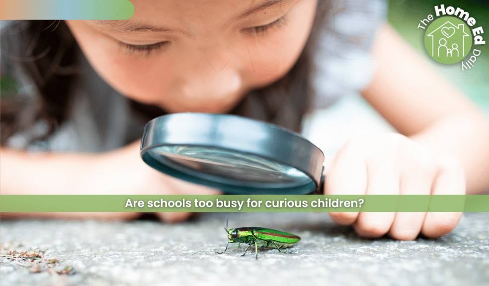 What happens when children stop asking questions? What happens when children stop asking questions?