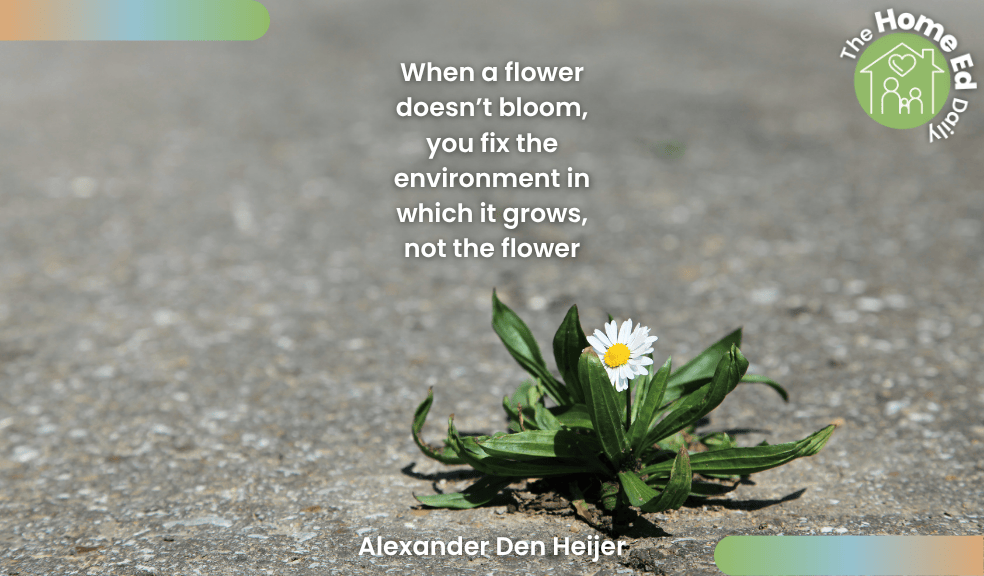 When a flower doesn’t bloom, you fix the environment in which it grows, not the flower.