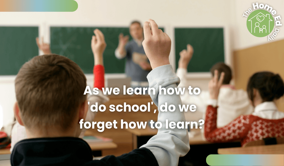 What did you learn at school today? By Naomi Fisher