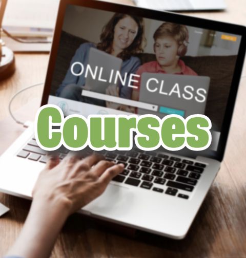 Online learning for home educated students