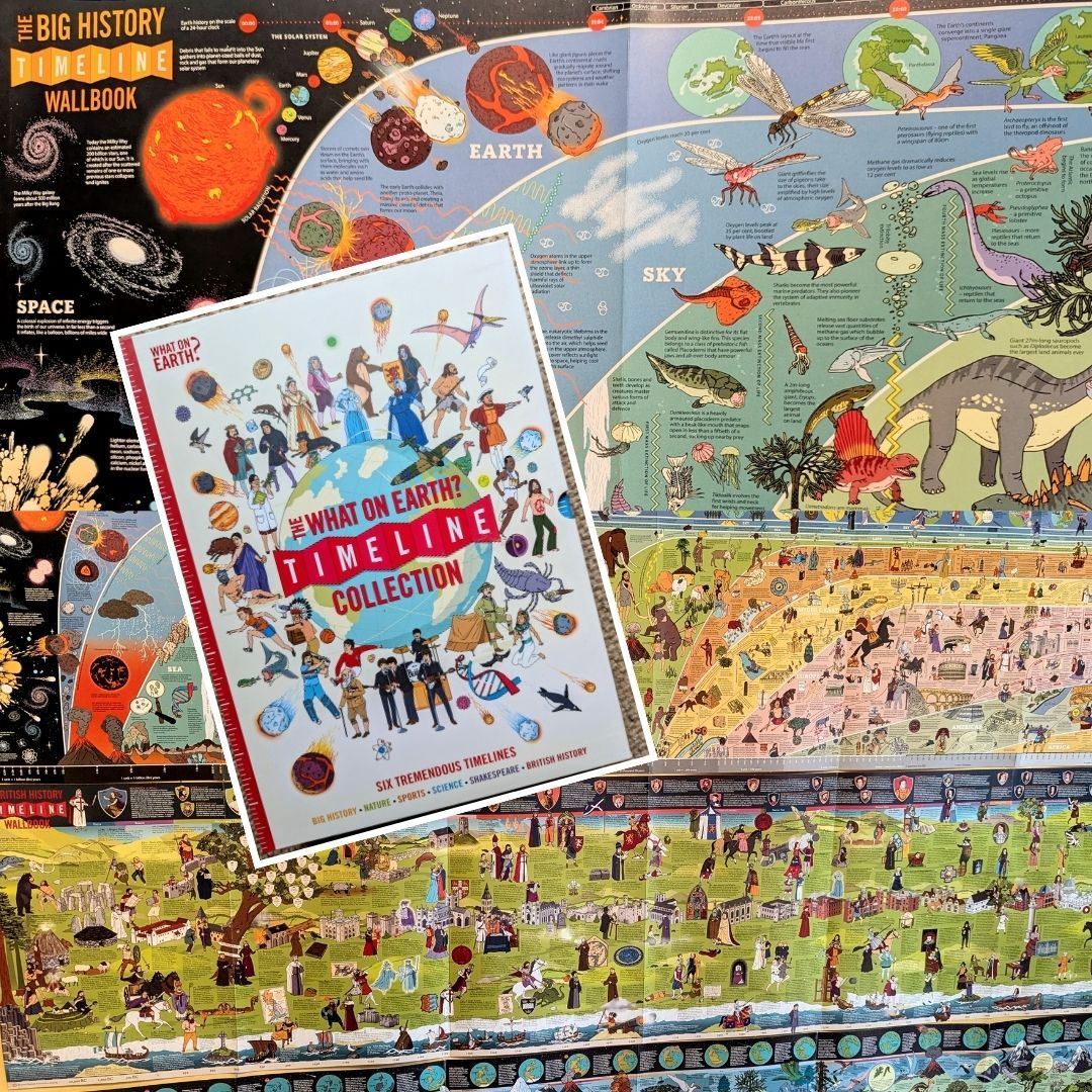 ‘The Big History Timeline’