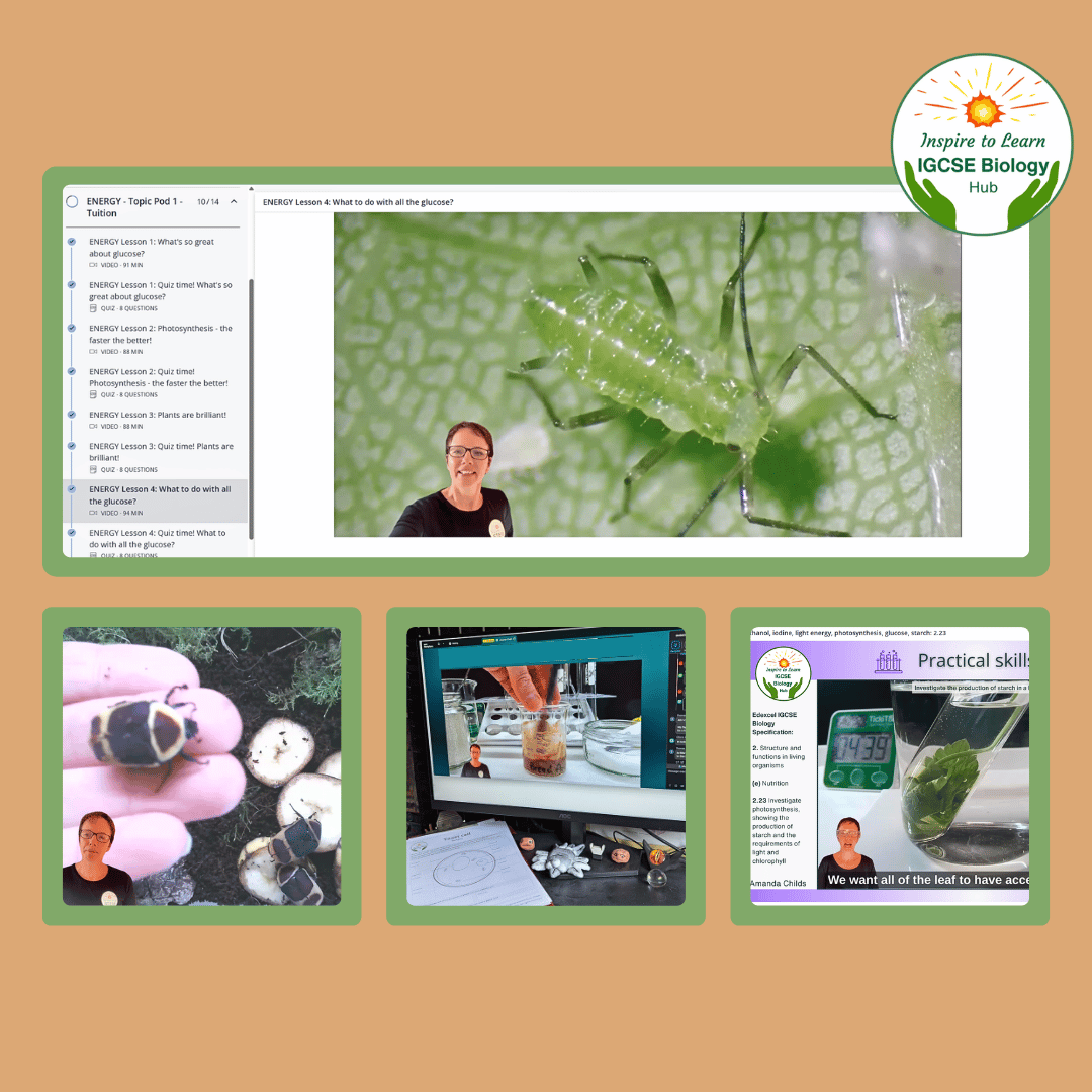 Inspire To Learn IGCSE Biology Hub review