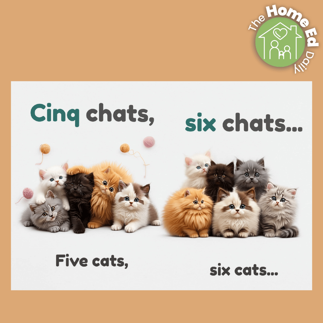 Le Tra-la-la des chats review: A first French book for children