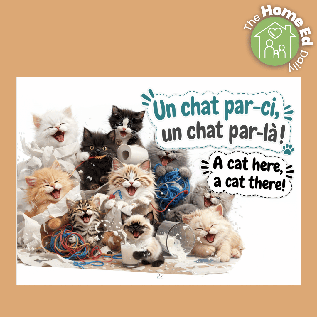 Le Tra-la-la des chats review: A first French book for children
