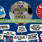 The Children’s Wellbeing and Schools Bill - Summary and next steps