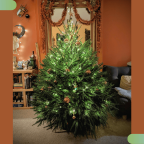 Christmas and home education: creating a calmer, more connected December at home Christmas and home education: creating a calmer, more connected December at home