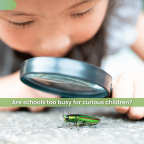 What happens when children stop asking questions?