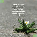 When a flower doesn’t bloom, you fix the environment in which it grows, not the flower.