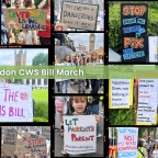 March for Children: Families oppose the Children’s Wellbeing and Schools Bill