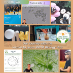 Inspire To Learn IGCSE Biology Hub review Inspire To Learn IGCSE Biology Hub review