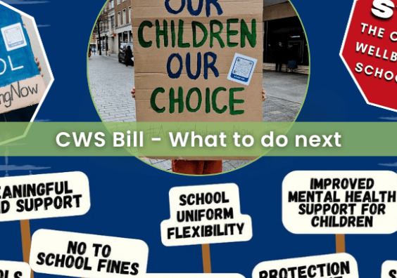 The Children’s Wellbeing and Schools Bill - Summary and next steps