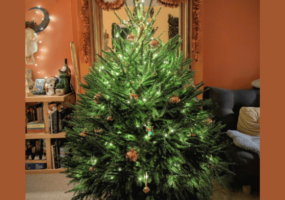 Christmas and home education: creating a calmer, more connected December at home Christmas and home education: creating a calmer, more connected December at home