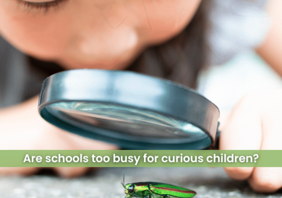 What happens when children stop asking questions? What happens when children stop asking questions?