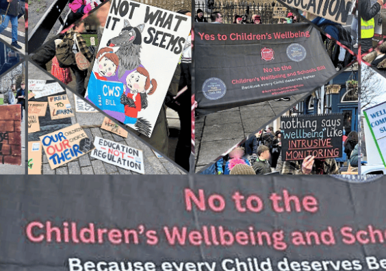 Children’s Wellbeing and Schools Bill Summary and Protest