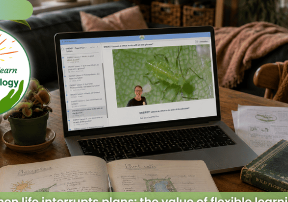 Sparking STEM IGCSE Biology Hub review. The Home Ed Daily. Sparking STEM IGCSE Biology Hub review. The Home Ed Daily.