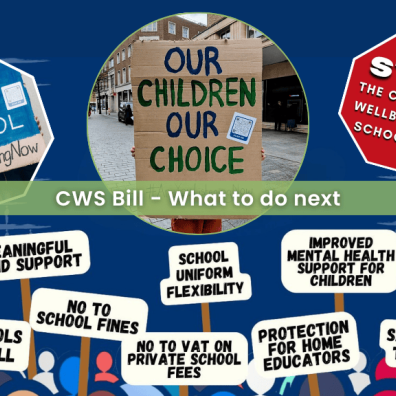 The Children’s Wellbeing and Schools Bill - Summary and next steps