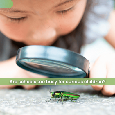 What happens when children stop asking questions?