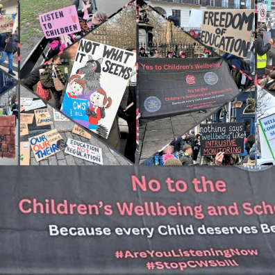 Children’s Wellbeing and Schools Bill Summary and Protest