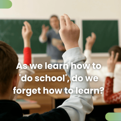 What did you learn at school today? By Naomi Fisher