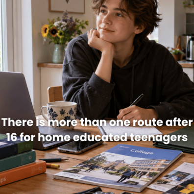 There is more than one route after 16 for home educated teenagers