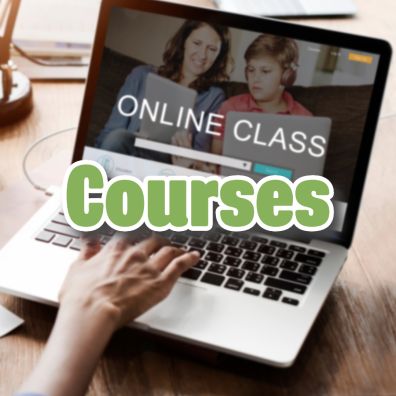 Online learning for home educated students
